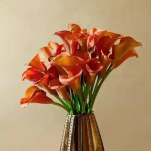 Bio Raphael - Relais & Châteaux - 73