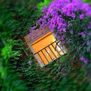 Bio Raphael - Relais & Châteaux - 67