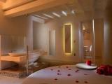 Executive Double Suite
