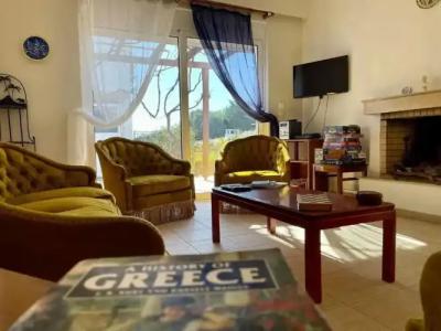 Eco Beach and Magic Garden - 155