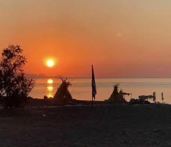 Eco Beach and Magic Garden - 87