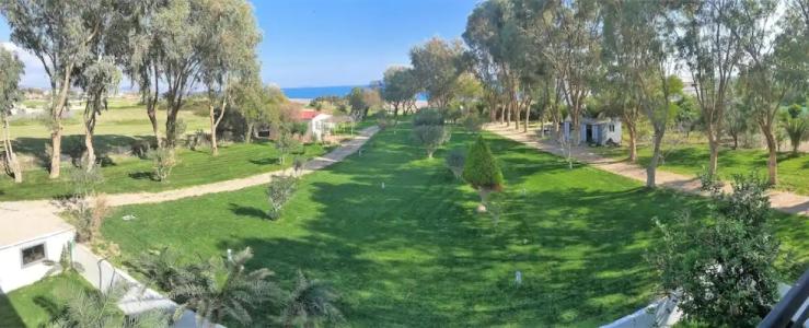 Eco Beach and Magic Garden - 101