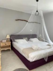 Eco Beach and Magic Garden - 57