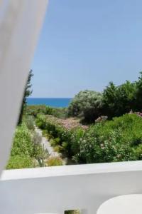 Eco Beach and Magic Garden - 107