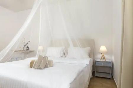 Eco Beach and Magic Garden - 3