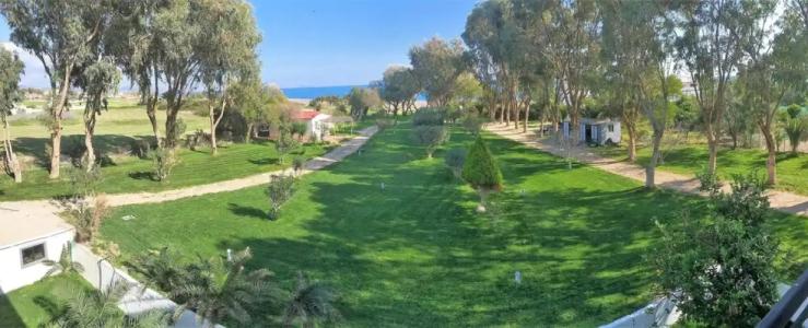 Eco Beach and Magic Garden - 93