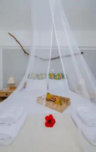 Eco Beach and Magic Garden - 77