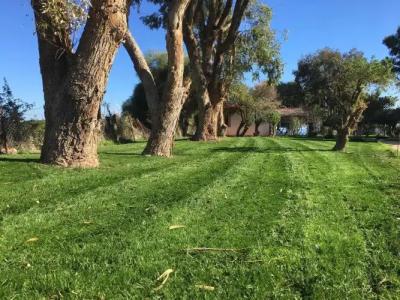 Eco Beach and Magic Garden - 13