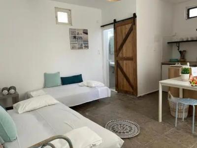 Eco Beach and Magic Garden - 50