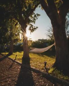 Eco Beach and Magic Garden - 20