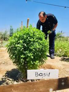 Eco Beach and Magic Garden - 21