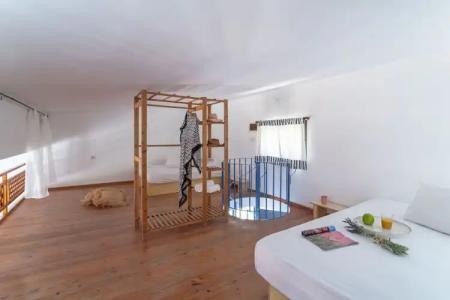 Eco Beach and Magic Garden - 157