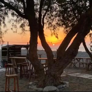 Eco Beach and Magic Garden - 19