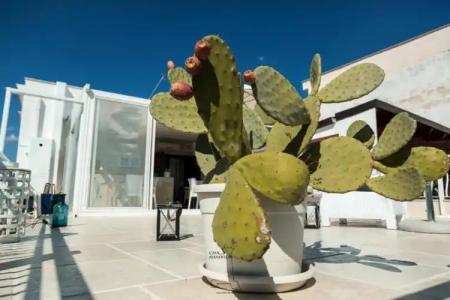 Casa Manfredi - Manfredi Homes&Villas - 19