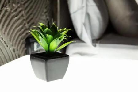 Casa Manfredi - Manfredi Homes&Villas - 56