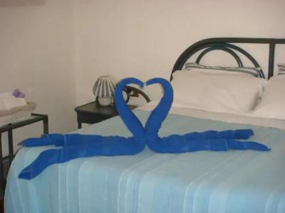 Girovagando - 4