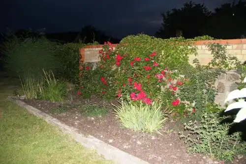 Holiday House Liepa - 30