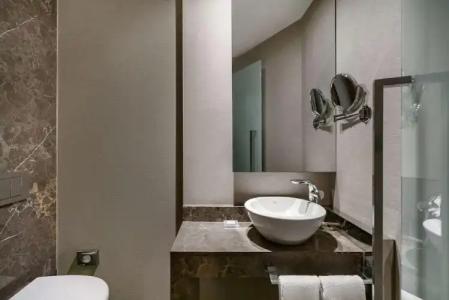 Radisson Blu Spa Istanbul Tuzla - 65