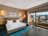 Superior Double room with balcony and with pool view