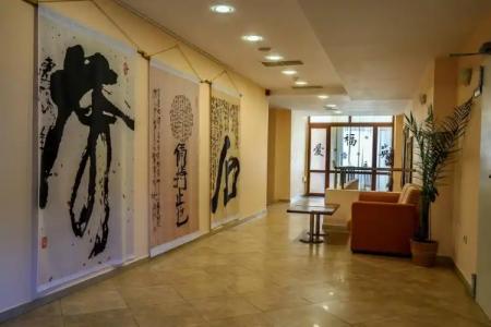 Evergreen ApartHotel - 7