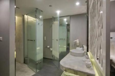 The Sense Deluxe - 79