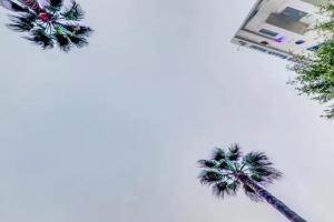 Anonymous Beach Hotel (Adults 16+)