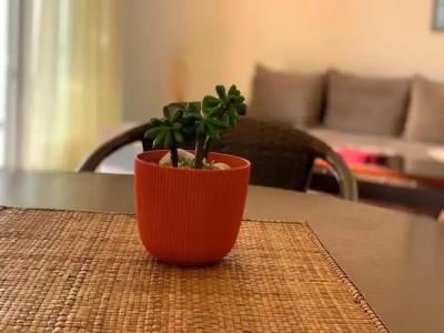 Apartments Lungo Mare - 39