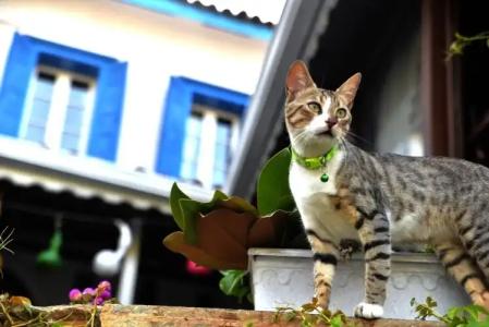 Selanik Pansiyon - 17