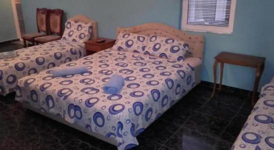 Guest House Dragomir - 24