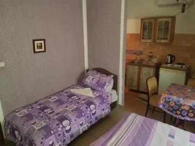 Guest House Dragomir - 16