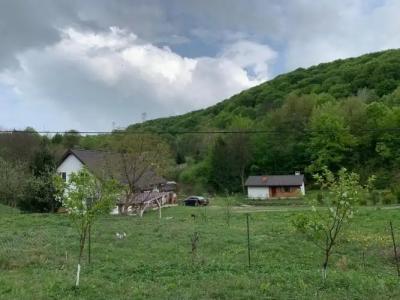 Holiday home Usadba Novoselitsa - 11
