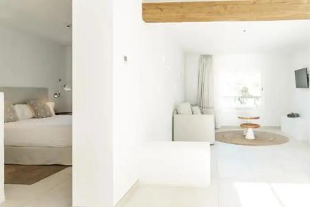 Boutique & Spa Las Mimosas Ibiza - 4