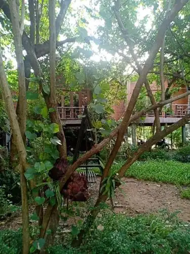 Ramo Resort - 13