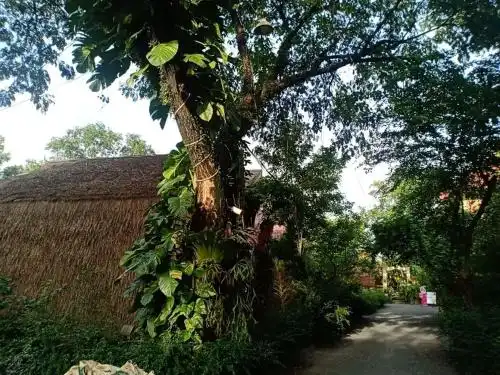 Ramo Resort - 7