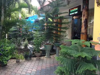 Sunshine & Hall - 11