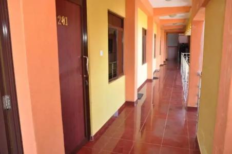 Sunshine & Hall - 52