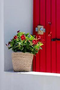 Les Volets Rouges - Hôtel Cassis - Situé Dans le Parc National des Calanques - 24