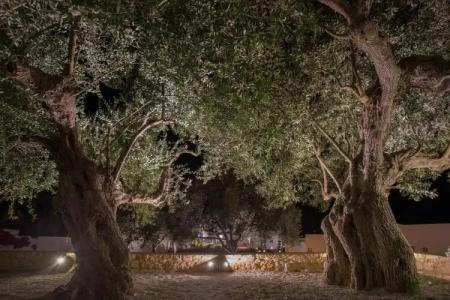 Mareggio Exclusive Residences & Suites - 111