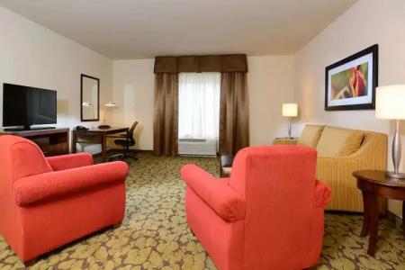 Hilton Garden Inn Greensboro Airport - 81