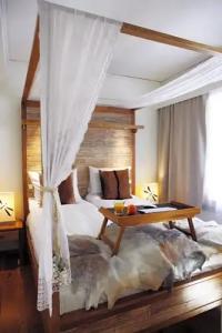 Eyja Guldsmeden - 50