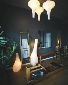 Eyja Guldsmeden - 24