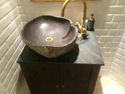 Eyja Guldsmeden - 17