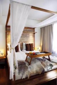 Eyja Guldsmeden - 39