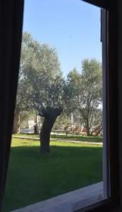 The Green Beach Resort - 31