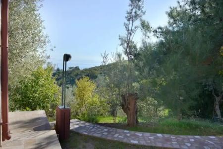 The Green Beach Resort - 52