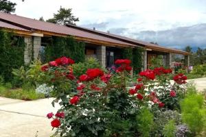 Abricos Guest House, Kara-Oy