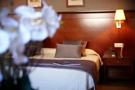 Hesperia Andorra - 43