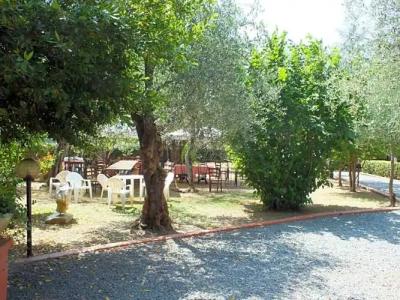 Gli Ulivi Bed & breakfast - 6