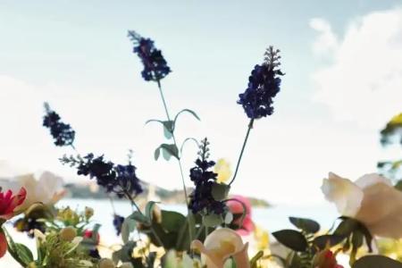 Club Sirena Beach - 48