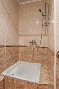 Lermontov Health Resort - 108